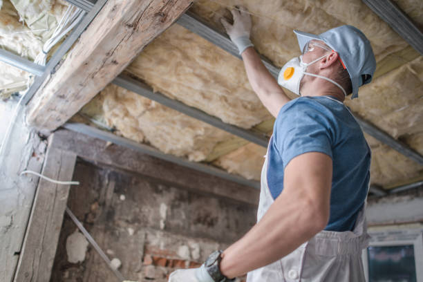 Types of Insulation We Offer in Roseland, FL