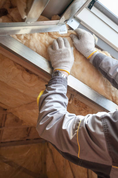Best Geographic-Specific Insulation Services in Roseland, FL